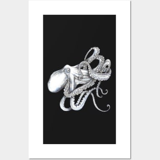 Octopus, a tangle of tentacles. Posters and Art